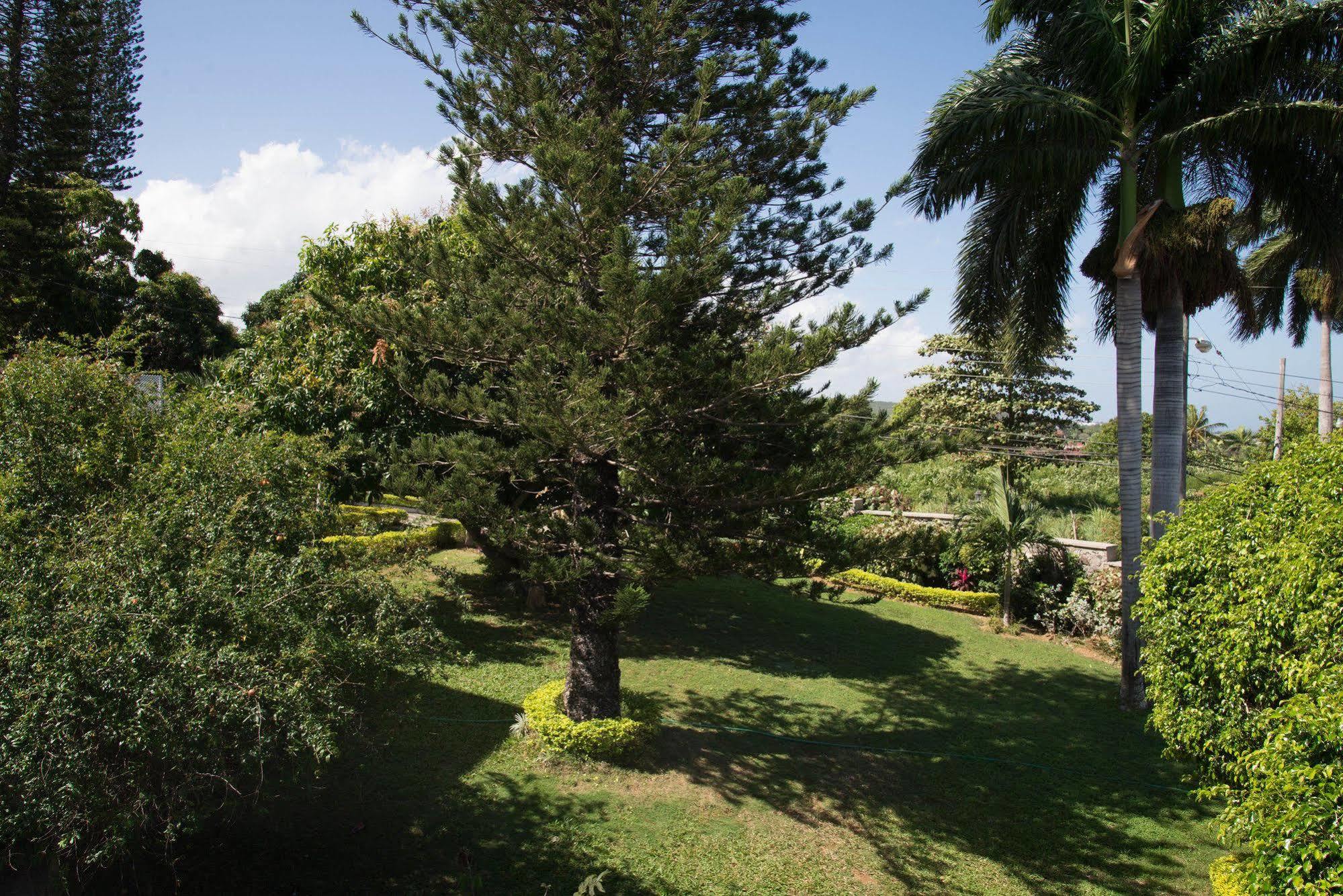 Hatfield South Villa Montego Bay Exterior photo